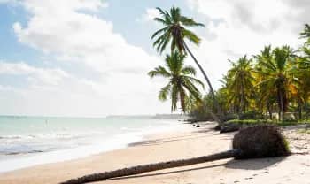 Praia Banana — Ilhéu das Rolas