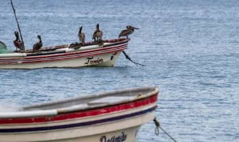 Lagoa Azul — Marine Escape